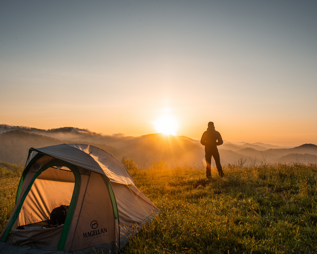 Best Cooler for Camping